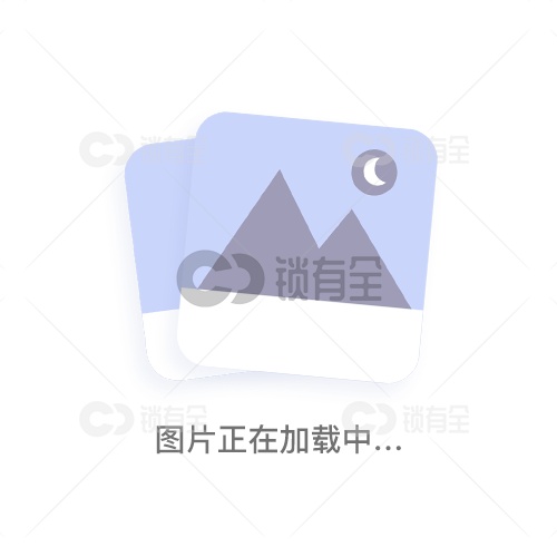 新款保德安软硬开两件套 软硬锁匠专用工具 民用锁匠专用工具