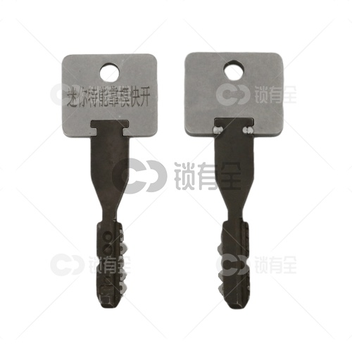 王力迷你特能读齿靠模快开套装