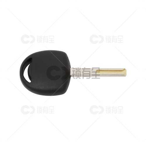 NP Tools 新点HU100R（NEW）新宝马晃匙工具