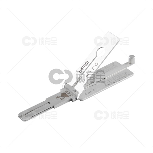 李志勤-BW9MH宝马摩托车锁读齿开启工具-内铣 李氏二合一 【全球】