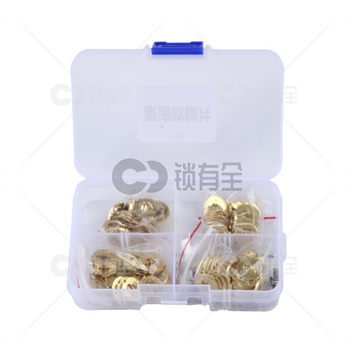FO21-福特蒙迪欧锁片-100片/盒-铜 修锁弹簧片 锁簧