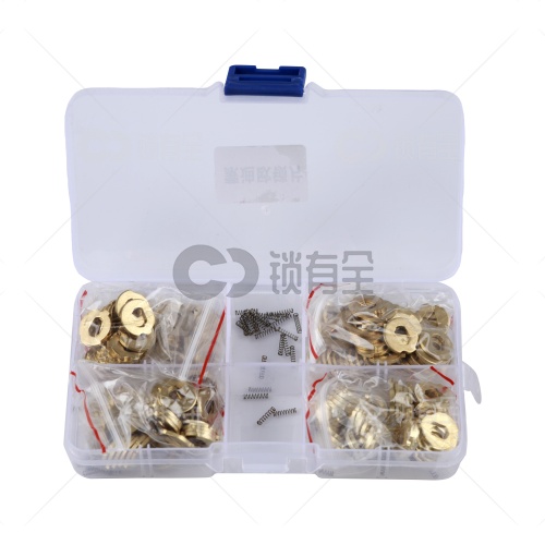 FO21-福特蒙迪欧锁片-200片/盒-铜 修锁弹簧片 锁簧