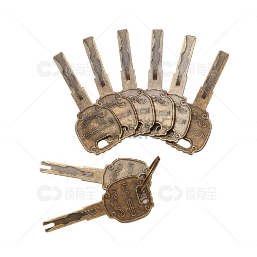 艾栖C级锁芯 防盗门黄铜锁芯防暴力防技术开锁芯/配8把钥匙慕尼黑系列