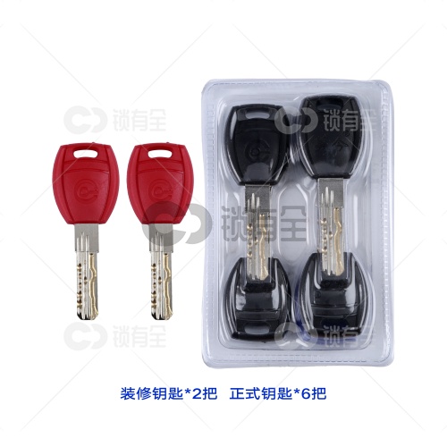 美今 B级/超B级 双排弹子带蛇形槽（双排弹子+叶片曲线）防盗门锁芯  全铜带8把钥匙  