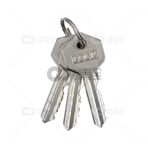 国力一字偏心单锁头 老式木门偏孔固历锁芯异形黄铜锁头老式二保险弹子门锁头带配件