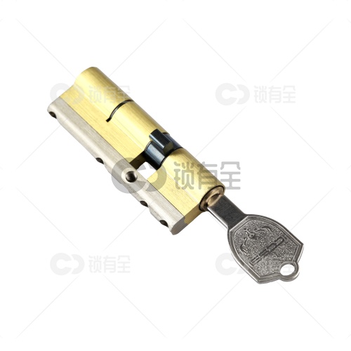 艾栖科隆超C级锁芯 多轨道防盗门锁芯 全铜锁芯+防暴力钢梁 配8把钥匙