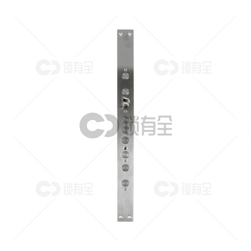 异形锁体-40*500 指纹锁密码锁电子锁防盗门6068锁体   全304不锈钢 双快双活 防插静音 镜面精钢系列