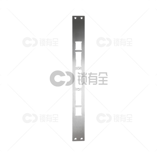 异形锁体-45*600 专用指纹锁密码锁电子锁 锁体   全304不锈钢 双快双活 防插静音 镜面精钢系列