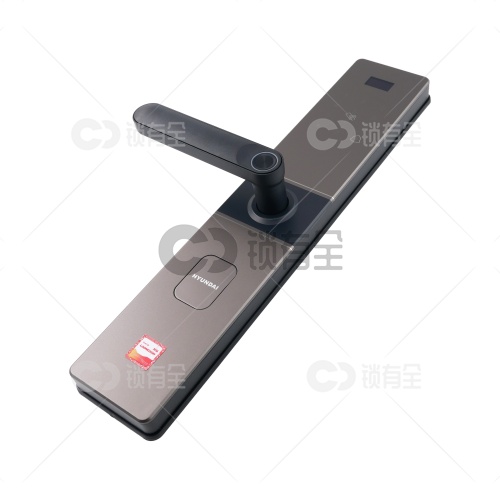 现代H5防水一握开半自动智能锁