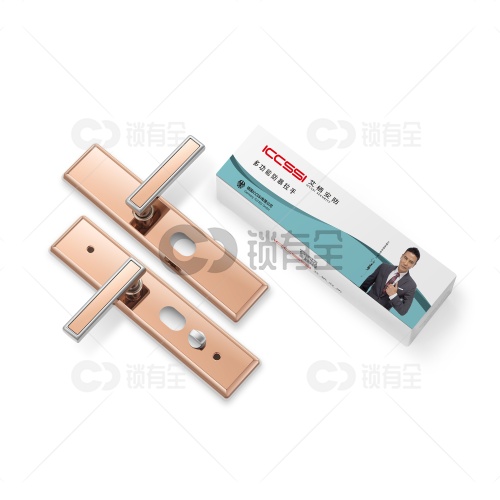 艾栖ICCSSI B301多功能面板-玫瑰金 防盗门把手拉手执手 防盗门锁拉手 手柄