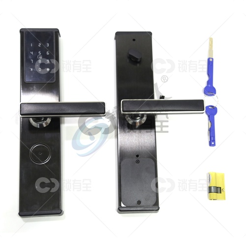 艾之居-公寓民宿锁 X3 黑色 离线版 无指纹 智能锁 以匠心制造品质