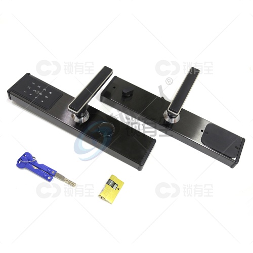 艾之居-公寓民宿锁 X3 黑色 离线版 无指纹 智能锁 以匠心制造品质