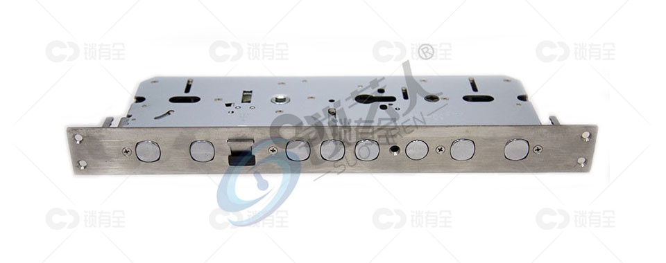 霸王 方边 双孔 多功能 防盗 不锈钢 指纹 锁体 指